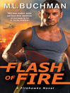 Cover image for Flash of Fire